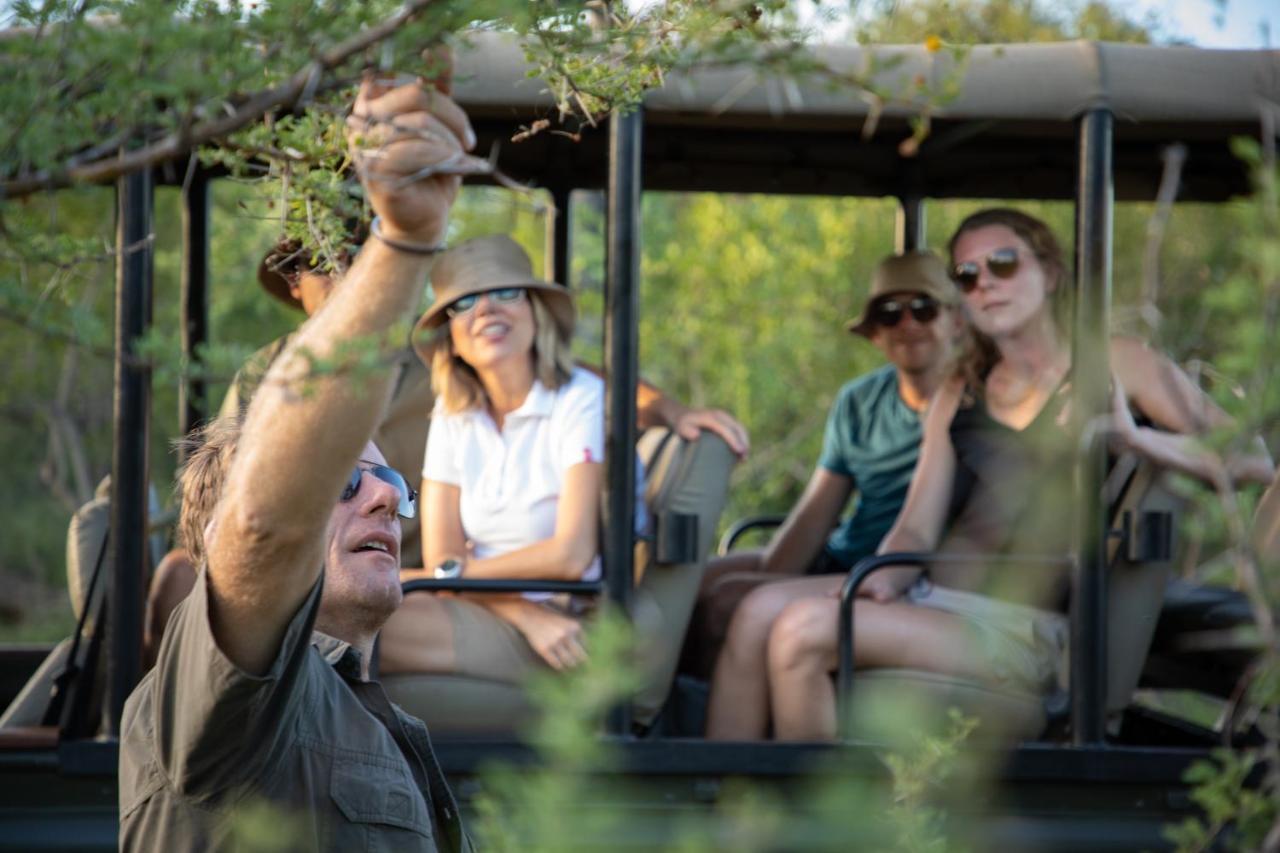 Parsons Hilltop Safari Camp 巴卢莱自然保护区 外观 照片