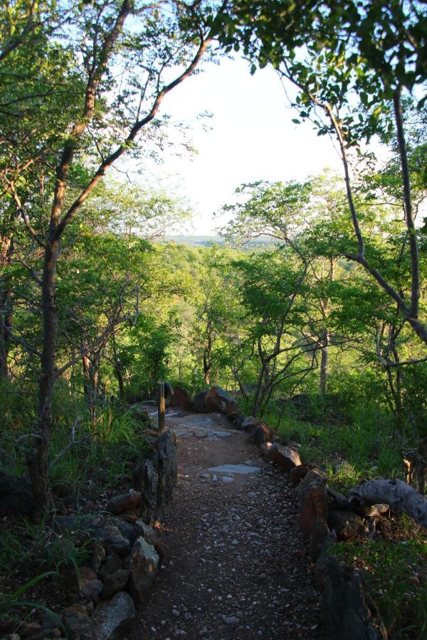 Parsons Hilltop Safari Camp 巴卢莱自然保护区 外观 照片