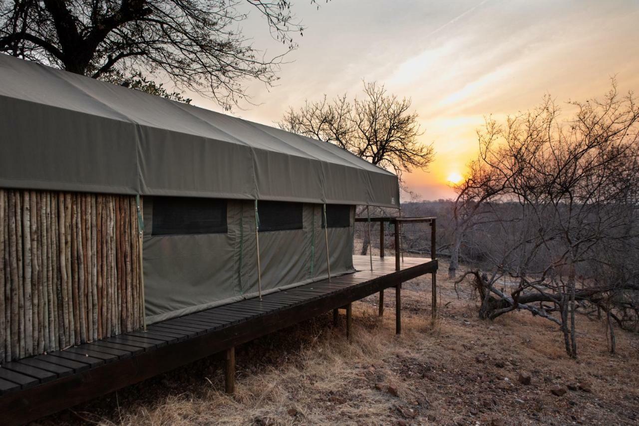 Parsons Hilltop Safari Camp 巴卢莱自然保护区 外观 照片